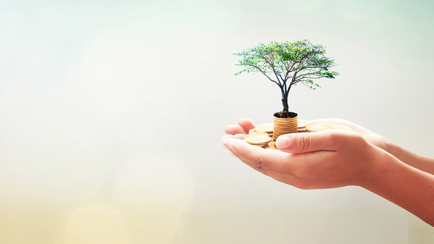 Enviromental practices image